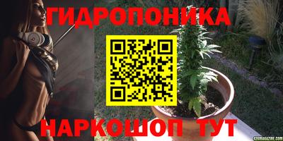 прущая мука Будённовск
